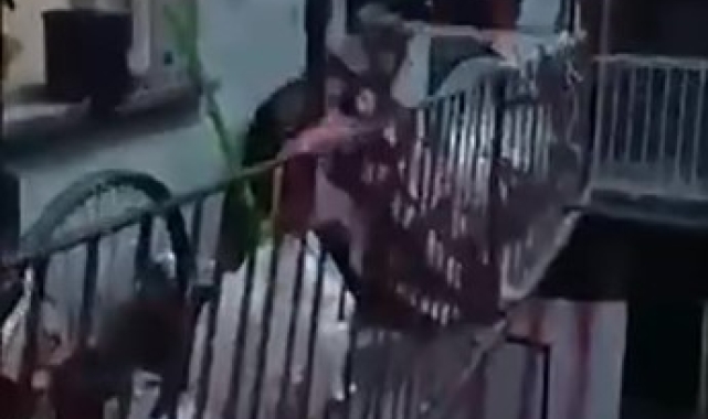 Denizli'de aranan şüpheli balkondaki örtünün altından çıktı