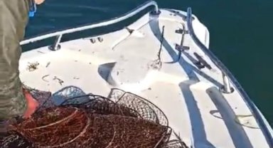 Eğirdir Gölü'nde 500 adet kerevit sepeti ele geçirildi