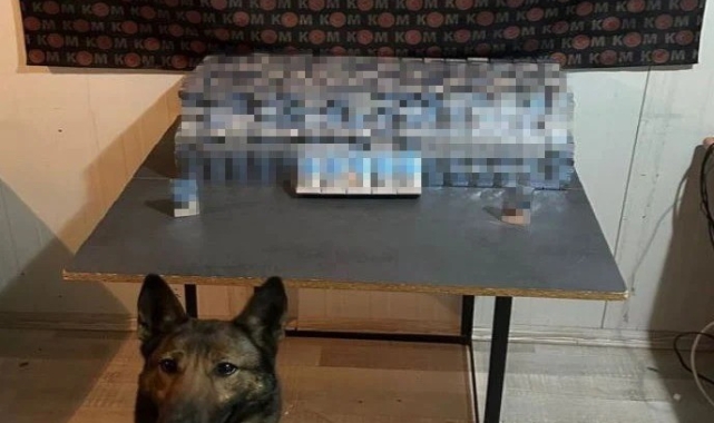 Erzincan'da kaçak sigara operasyonu: 1 gözaltı
