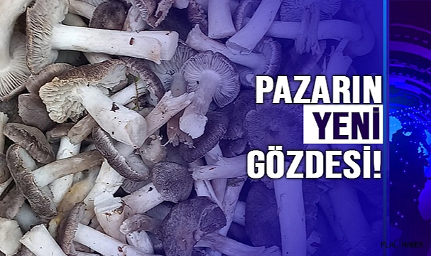 ESNAFIN YÜZÜNÜ GÜLDÜRÜYOR!