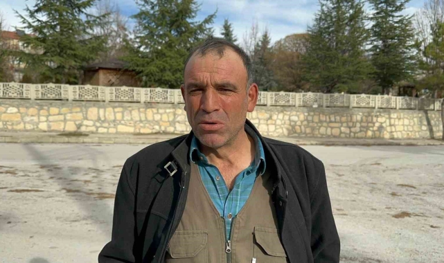 Evin önündeki köpek havalı tüfekle vurulup telef edildi