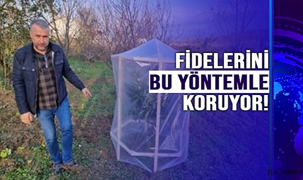 FİDELERİ SOĞUKTAN KORUYAN YÖNTEM!