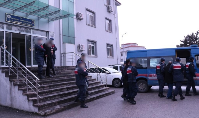Gaziantep'te 1 ton zeytin çalan hırsızlar jandarmadan kaçamadı