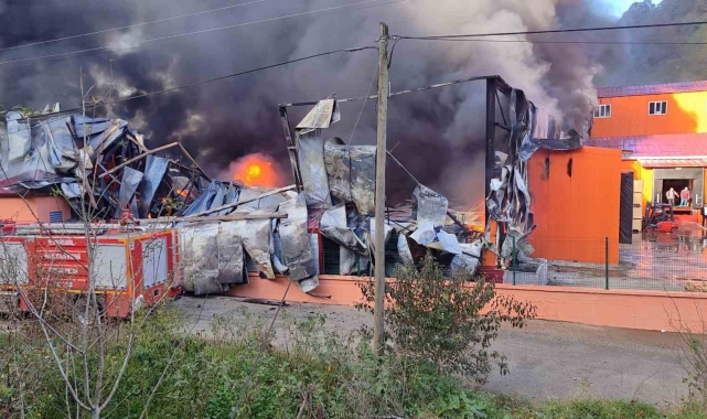 Giresun'da balık tesisinde yangın