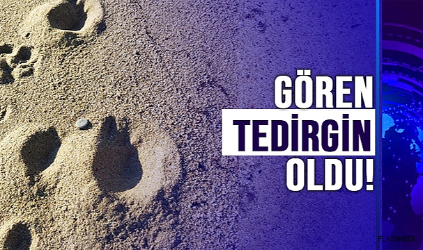 GÖRÜNTÜLER SİNOP SAHİLİNDEN!