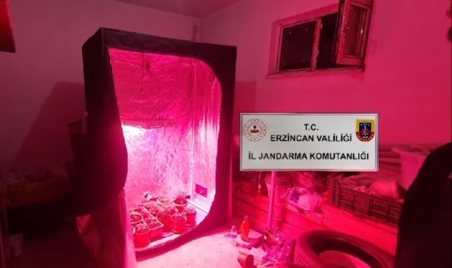 Hint keneviri yetiştirmek için kurduğu sistem şaşırttı