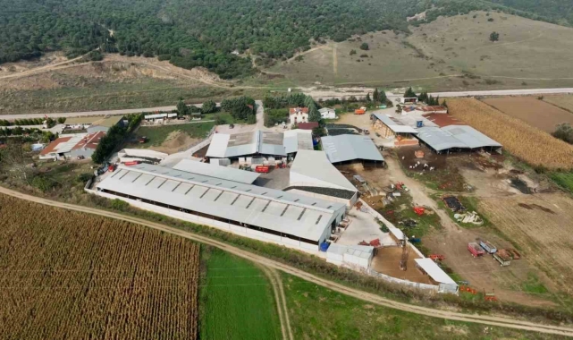 İki kardeş mühendisliği bırakıp çiftlik kurdu