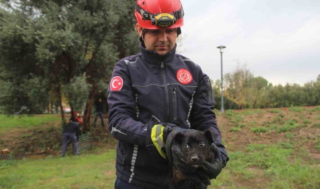İtfaiye erinden su borusundaki köpeğe kahramanca kurtarış
