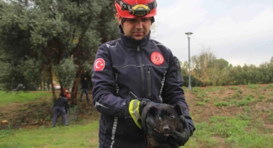İtfaiye erinden su borusundaki köpeğe kahramanca kurtarış