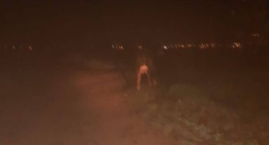 Jandarma kayıp hayvanı buldu