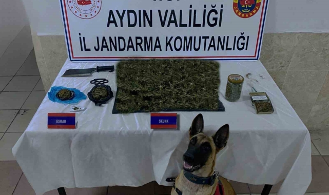 Jandarmadan uyuşturucu operasyonu: 65 gözaltı