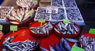 Karadeniz'de son 25 yılın en bereketli günü