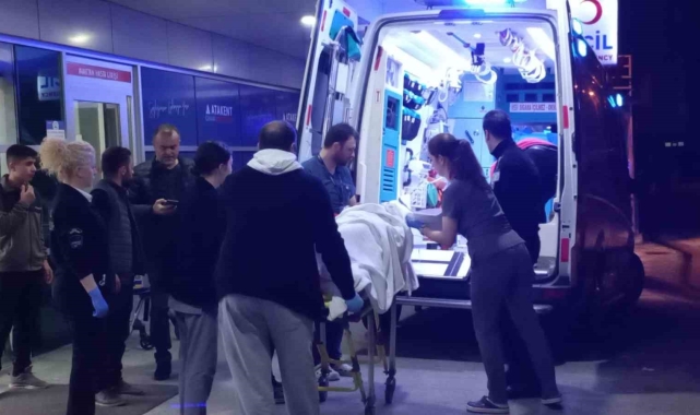 Kayınpeder, damadını ve kardeşini vurdu