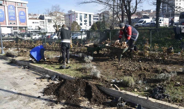 Kdz. Ereğli lavanta kokacak