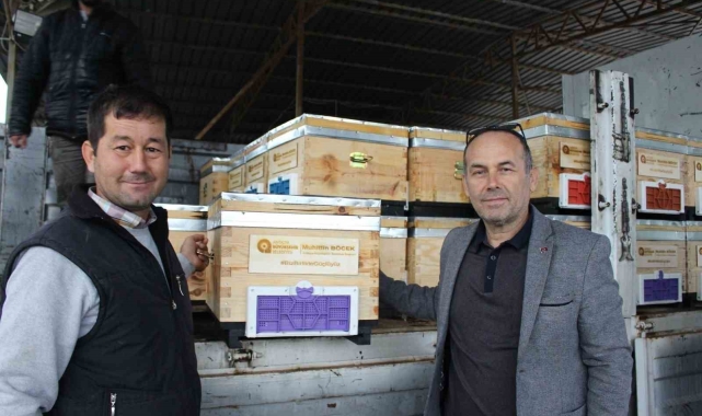 Kemer'de arı üreticilerine kovan desteği