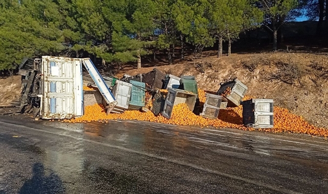 Kopan dorsedeki tonlarca mandalina yola saçıldı