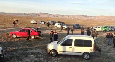 Köpek dövüştürerek bahis oynayanlara suçüstü