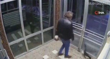 Küçükçekmece'de kediyi darp eden sanık hakkında karar: 5 ay hapisle cezalandırılmasına karar verildi