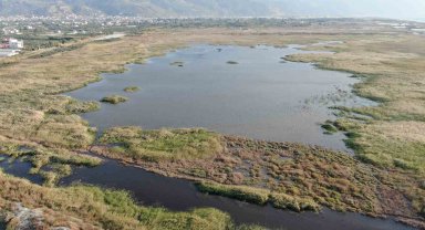 Kurak geçen yaz mevsimiyle yok olma noktasına gelen kuş cenneti, yağışlı havayla yeniden canlandı
