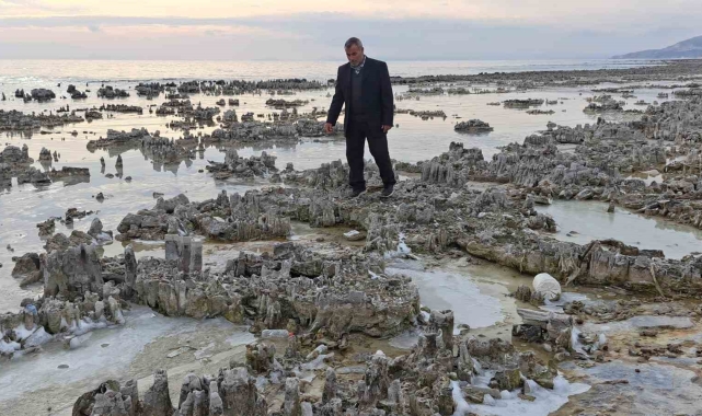 Kuraklık Van Gölü sahilini mikrobiyalit tarlasına dönüştürdü