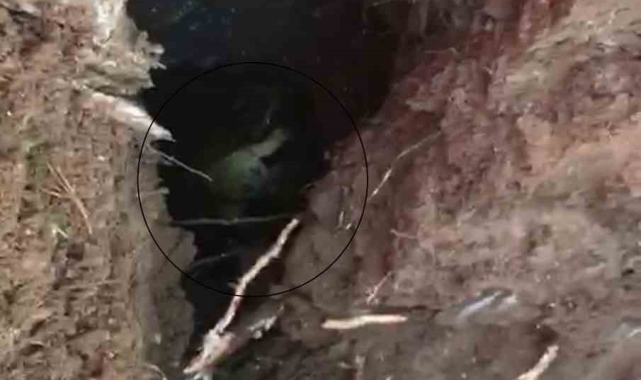 Kuyuya düşen yavru köpek kurtarıldı