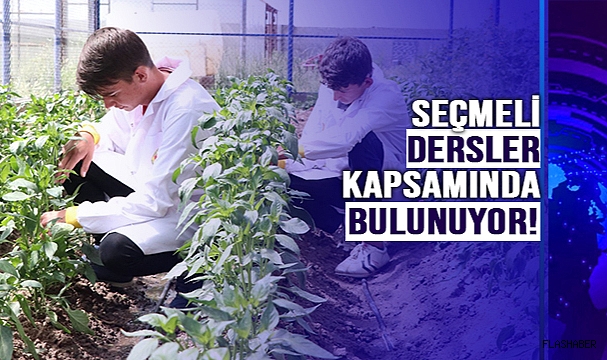 LİSELERDE YENİ DERS!