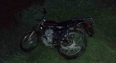 Manisa'da mahalleyi saran domuzlar trafiği tehlikeye düşürdü