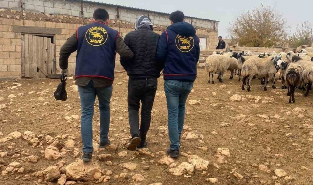 Mardin'de 2 aydır aranan cezaevi firarisi yakalandı