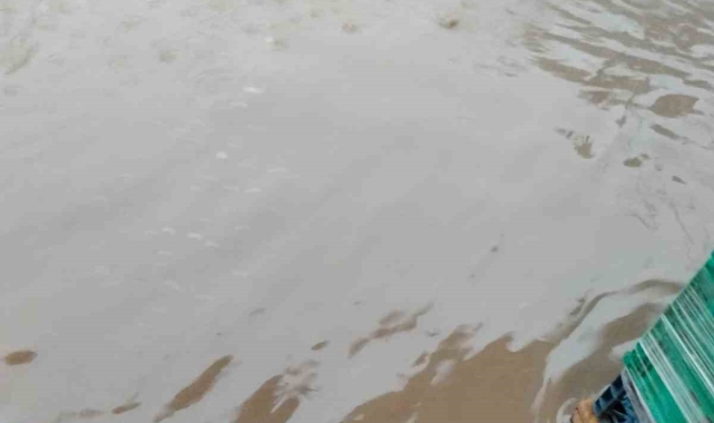 Mardin'de yağış nedeniyle marketleri su bastı