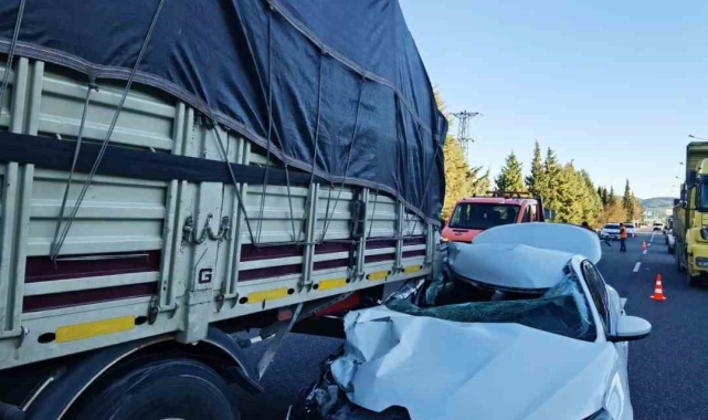 Menteşe'de trafik kazası:1 yaralı