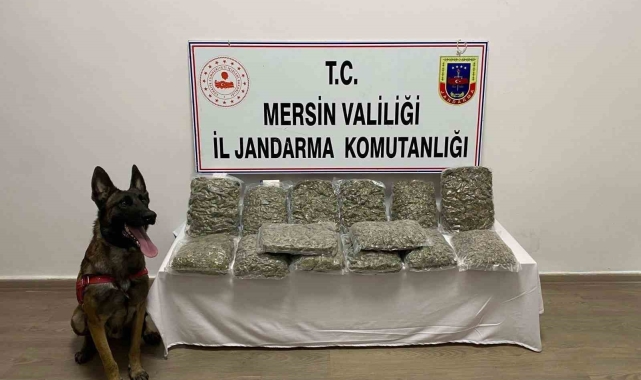 Mersin'de 14 kilo 200 gram skunk ele geçirildi