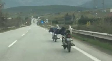 Ölümle böyle dans ettiler: Motosikletin üzerinde tehlikeli yolculuk