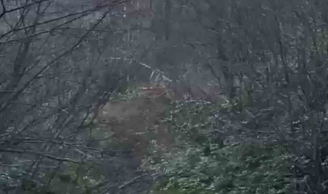 Ormancılar heyelandan son anda kurtuldu