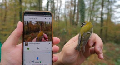 Ormaya'da yeni canlı türleri keşfedildi