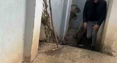 Öyle bir yerde mahsur kaldı ki, kurtarılır kurtarılmaz hemen yaşam alanına koştu