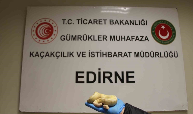 Pitonlarla yolculuk yapmışlar