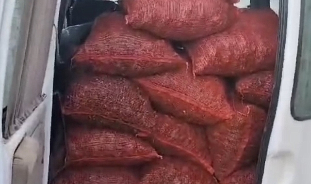 Samsun'da kaçak 20 çuval kara kıllı midye ele geçirildi