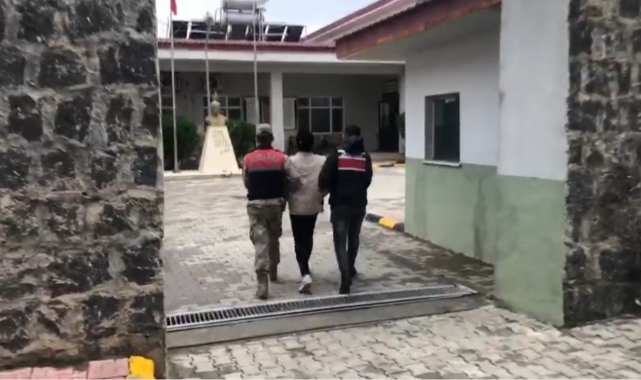 Şanlıurfa'da terör operasyonu: 4 gözaltı