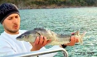 ŞAŞIRTAN BALIKÇI!