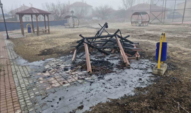 Şehir magandaları parktaki kamelyayı yaktı