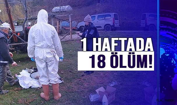 SİNOP'TA ANİ ÖLÜM!