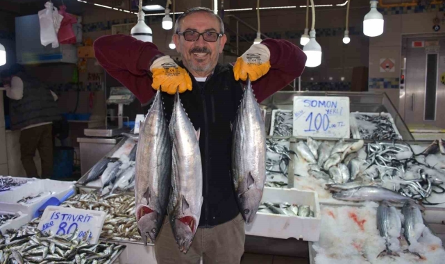 Sinop'ta 3 ve 5 kilogram arası torikler 500 TL