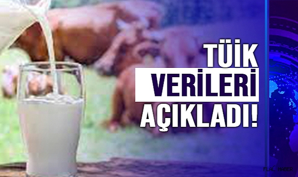 TAM 819 BİN 386 TON TOPLANDI