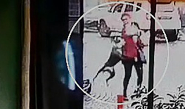 Tekirdağ'da pitbull dehşeti kamerada: Hem ona hem de köpeğine saldırdı