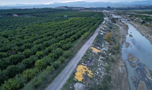 Tonlarca limon dere yatağına döküldü