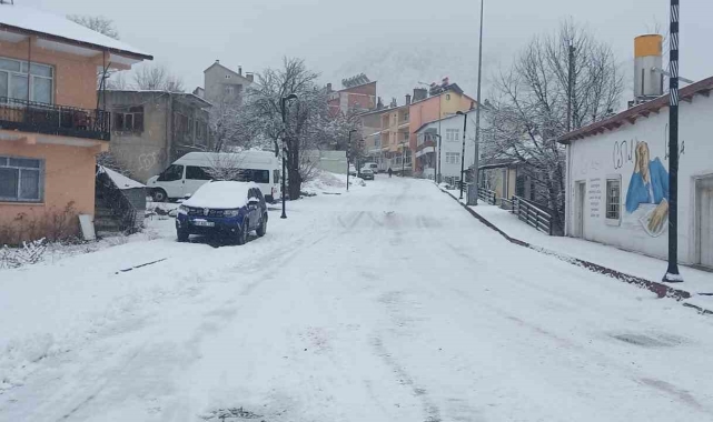 Tunceli'de kar yağışı etkili oldu, onlarca köy yolu ulaşıma kapandı