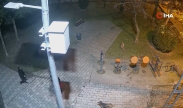 Ümraniye'de köpeklere ateş eden sanık bu kez de avukat tehdit etti