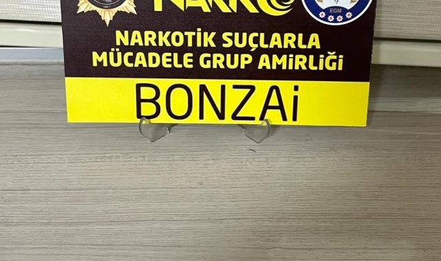 Uyuşturucu ile yakalanan 2 şüpheli gözaltına alındı