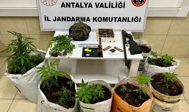 Uyuşturucu operasyonunda yarım kilogram metamfetamin yakalandı