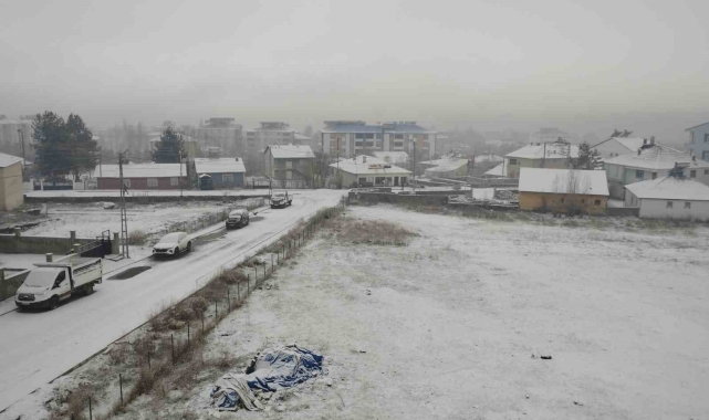 Varto'da kar yağışı